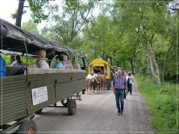 012_Mitgliederfahrt_2013